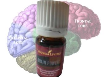 Brain Power Essential Oil - Young Living